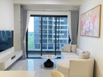 Cho Thuê Căn Hộ 2PN Victoria Village Full Nội Thất Đẹp - Ảnh 3