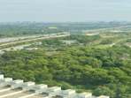 Cho Thuê Căn Hộ Precia – 3PN, Nội Thất Cơ Bản, View Đẹp - Ảnh 1