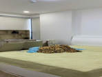 Cho Thuê Căn Hộ D'Lusso Quận 2 3PN Full Nội Thất Giá Tốt - Ảnh 5